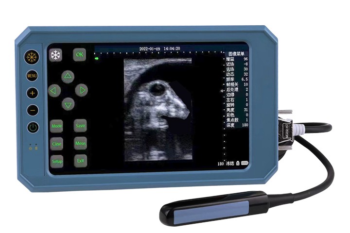 I-BU403T Ephathwayo Ephathwayo Uhlobo B Iskena se-Ultrasonic Esinesikrini esibuthathaka sokuchukumisa kunye ne-6.5MHz yerectal yelayini yoluhlu lovavanyo lokusetyenziswa kwezilwanyana